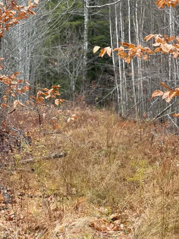 $169,000 | M5-l27 Pond Road, Abbot, ME 04406