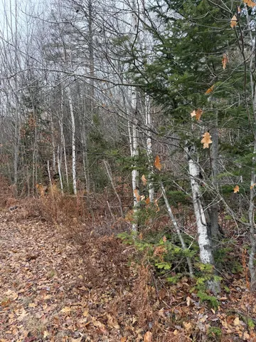 $169,000 | M5-l27 Pond Road, Abbot, ME 04406