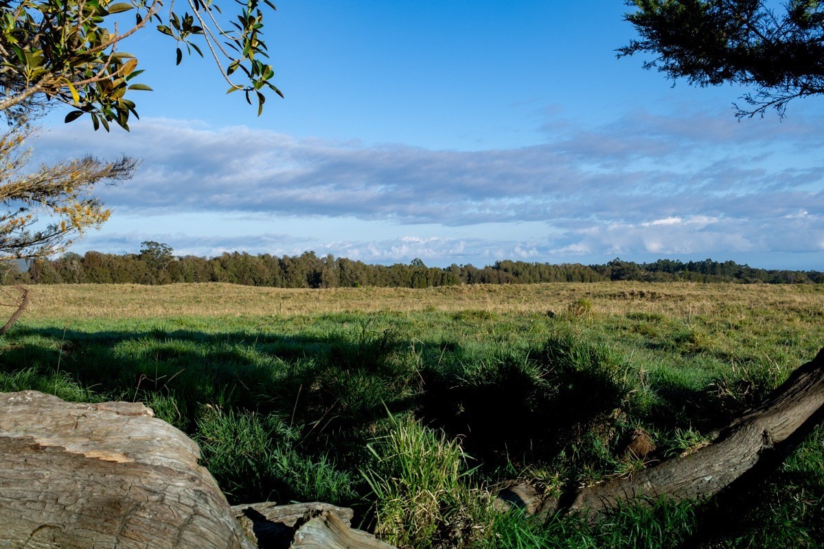 17 Mud Lane Kamuela, HI 96743 - Photo 2 of 8
