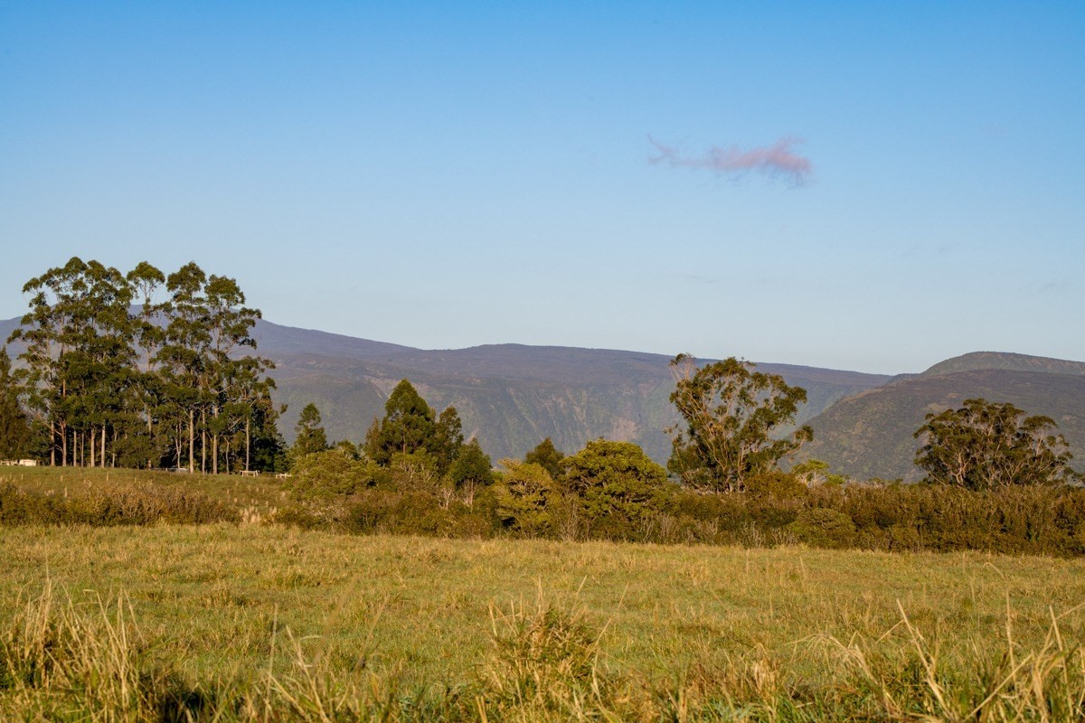 17 Mud Lane Kamuela, HI 96743 - Photo 3 of 8