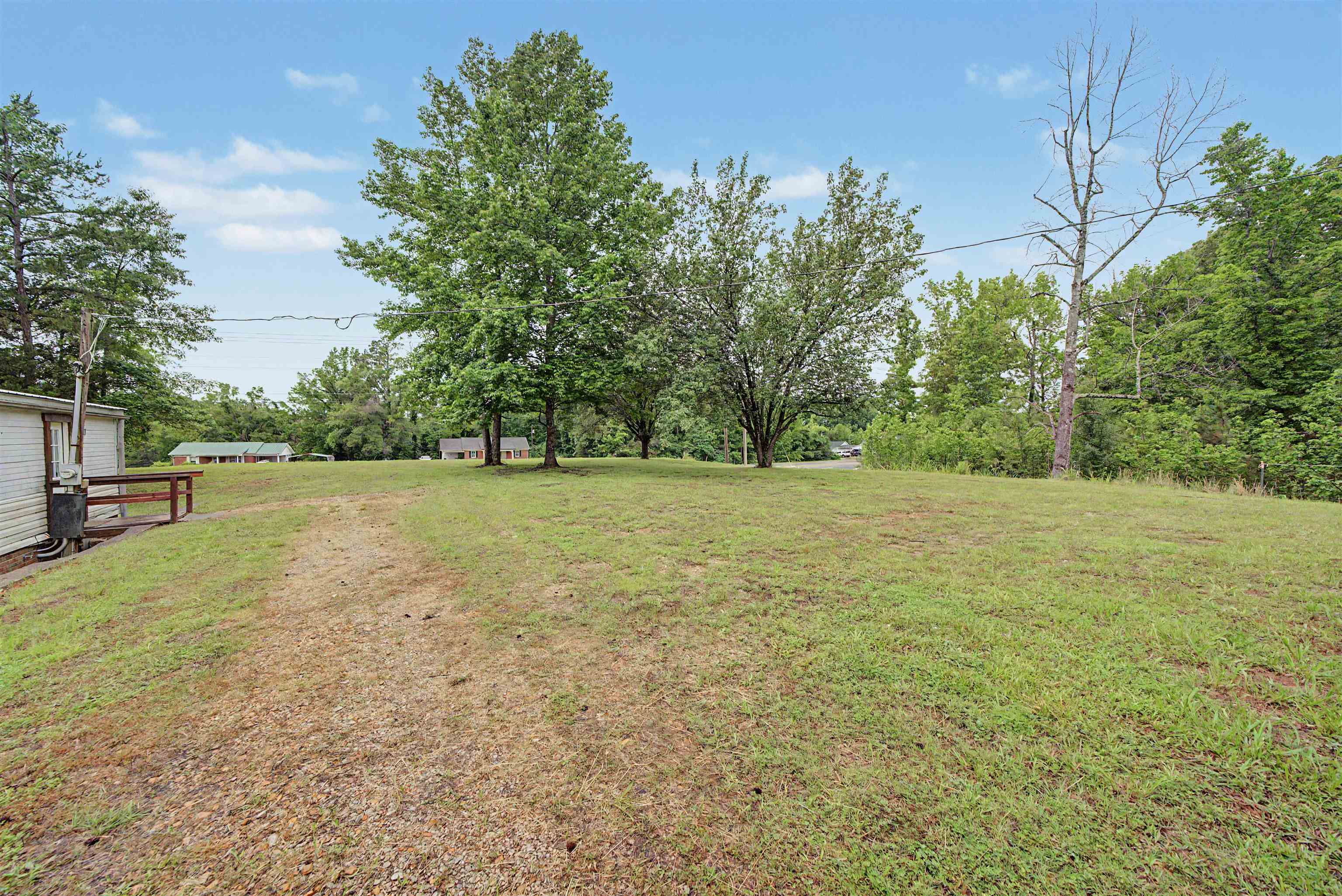 6264 45th Highway South Ramer, TN 38367 - Photo 7 of 24 Expansive grassy area featuring mature trees and a gravel path