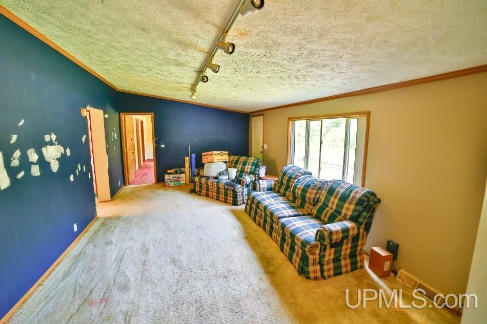 2265 Beaver Pete Road Vulcan, MI 49892 - Photo 57 of 82 Gallery Image 57