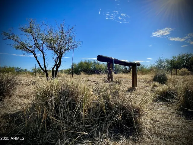a backyard of a house with large trees