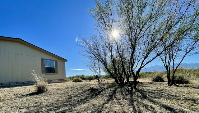 a view of a backyard with large trees