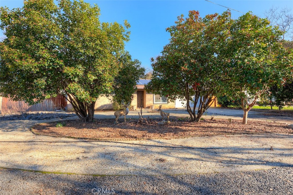 1274 Filbert Avenue Chico, CA 95926 - Photo 38 of 50