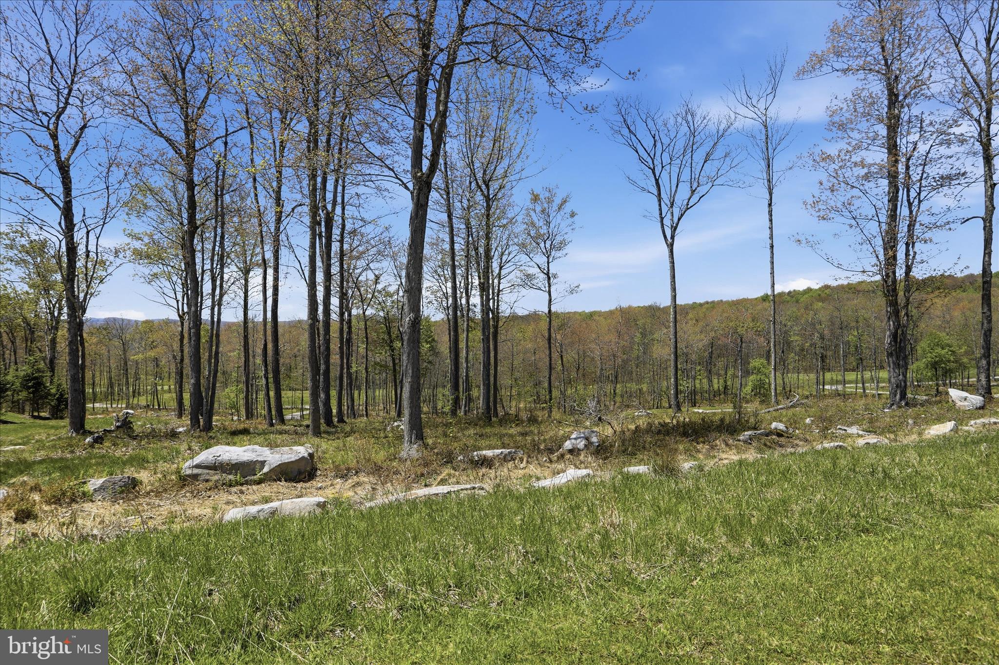 Natural stone boulders for landscaping