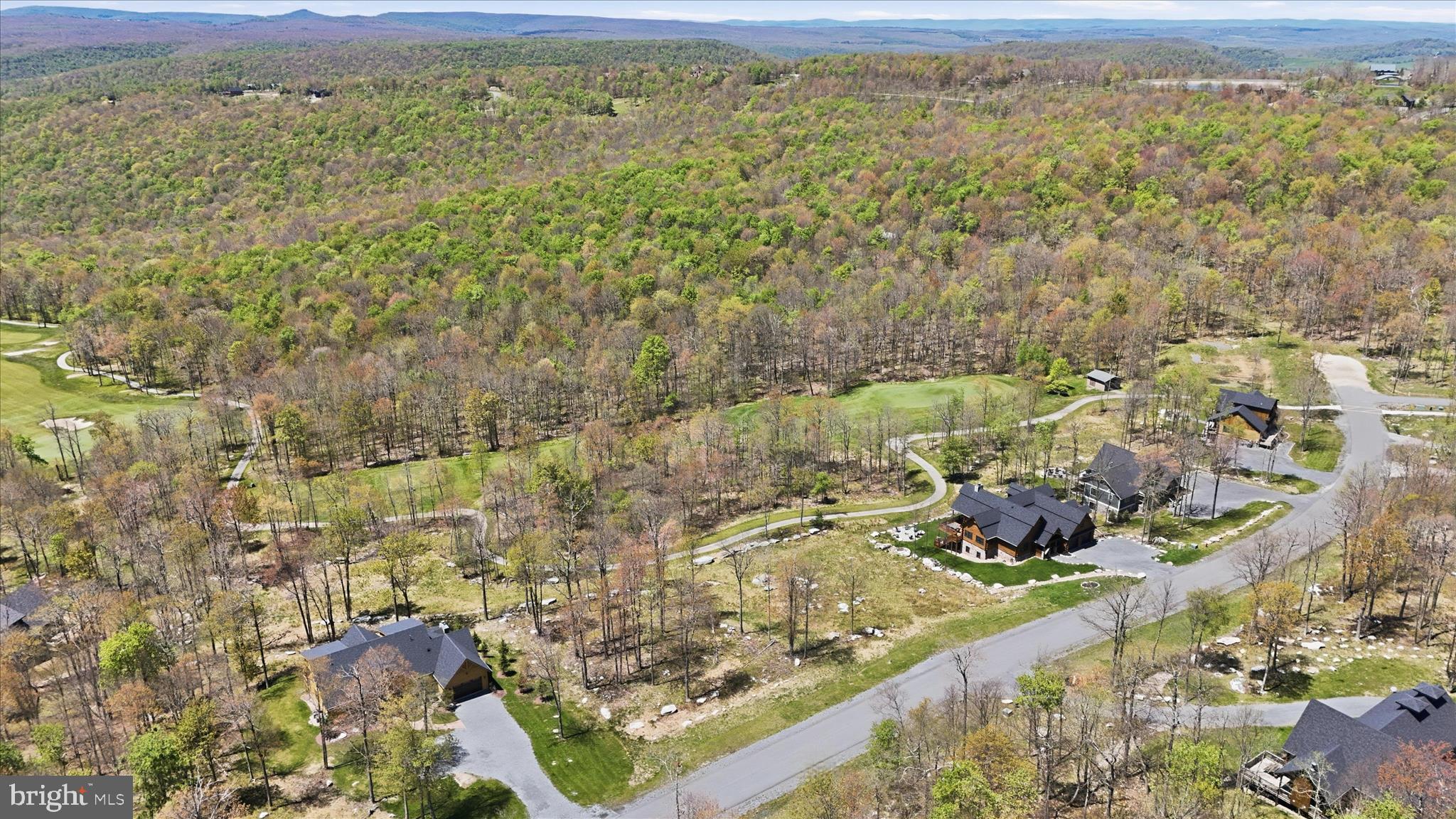Lot 43 Biltmore Ridge Trail McHenry, MD 21541 - Photo 3 of 10 Partly wooded Lot to the left
