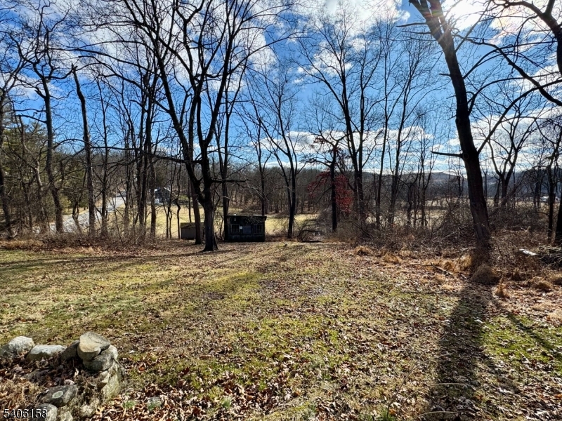 75 Rutherford Drive Belvidere, NJ 07823 - Photo 4 of 16 a view of outdoor space with trees