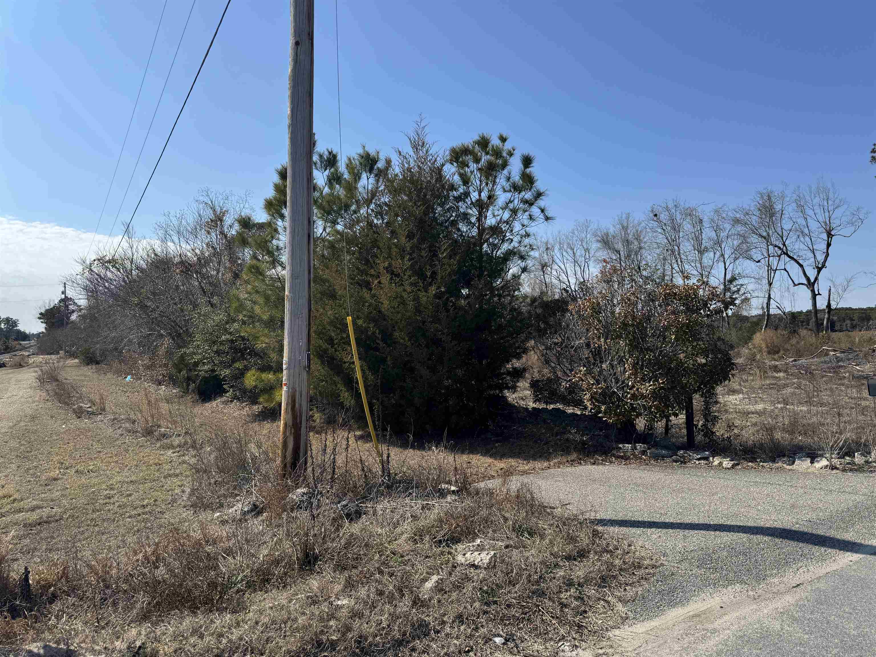 Three Curve Road Loris, SC 29569 - Photo 2 of 7