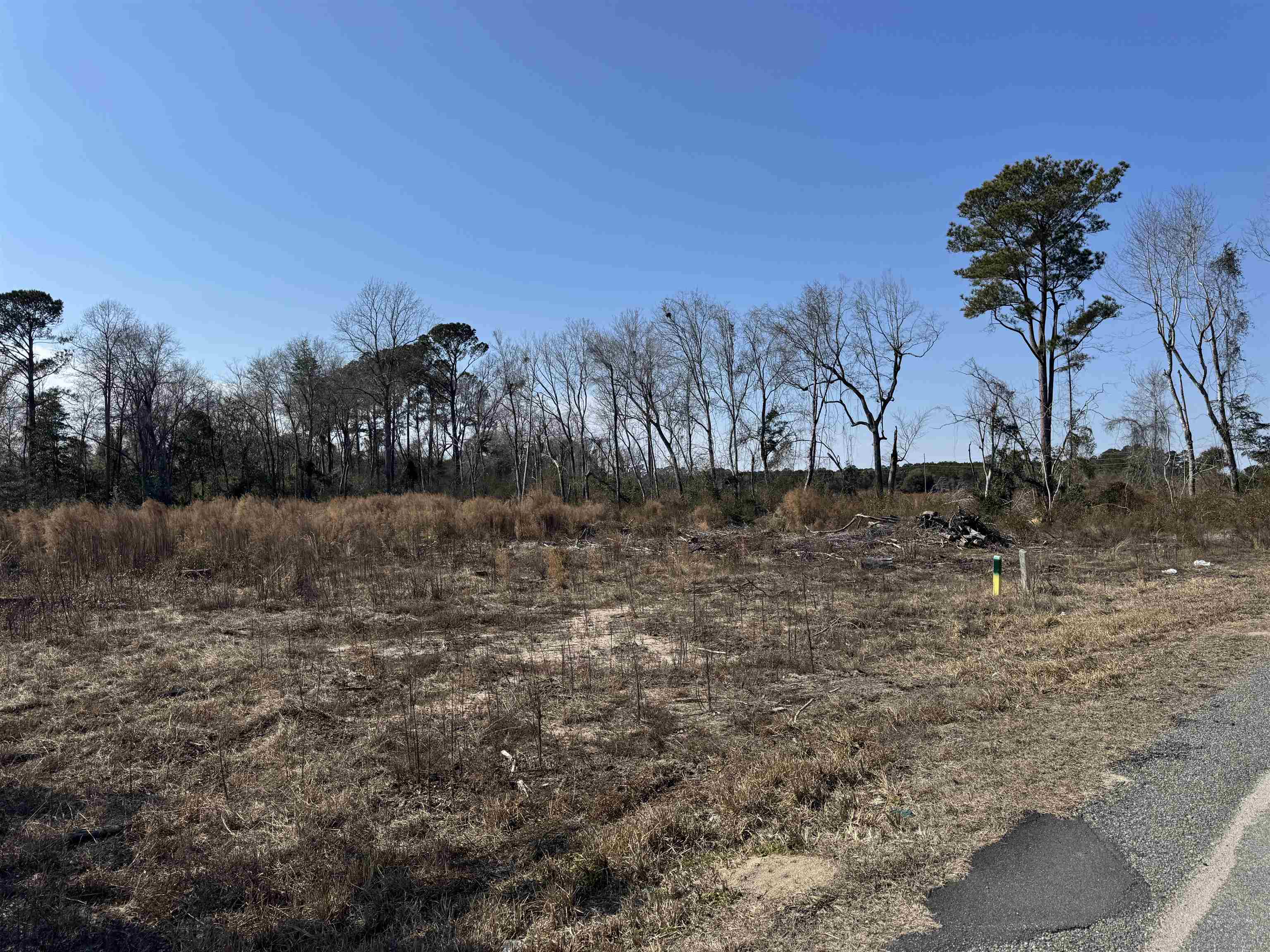 Three Curve Road Loris, SC 29569 - Photo 3 of 7