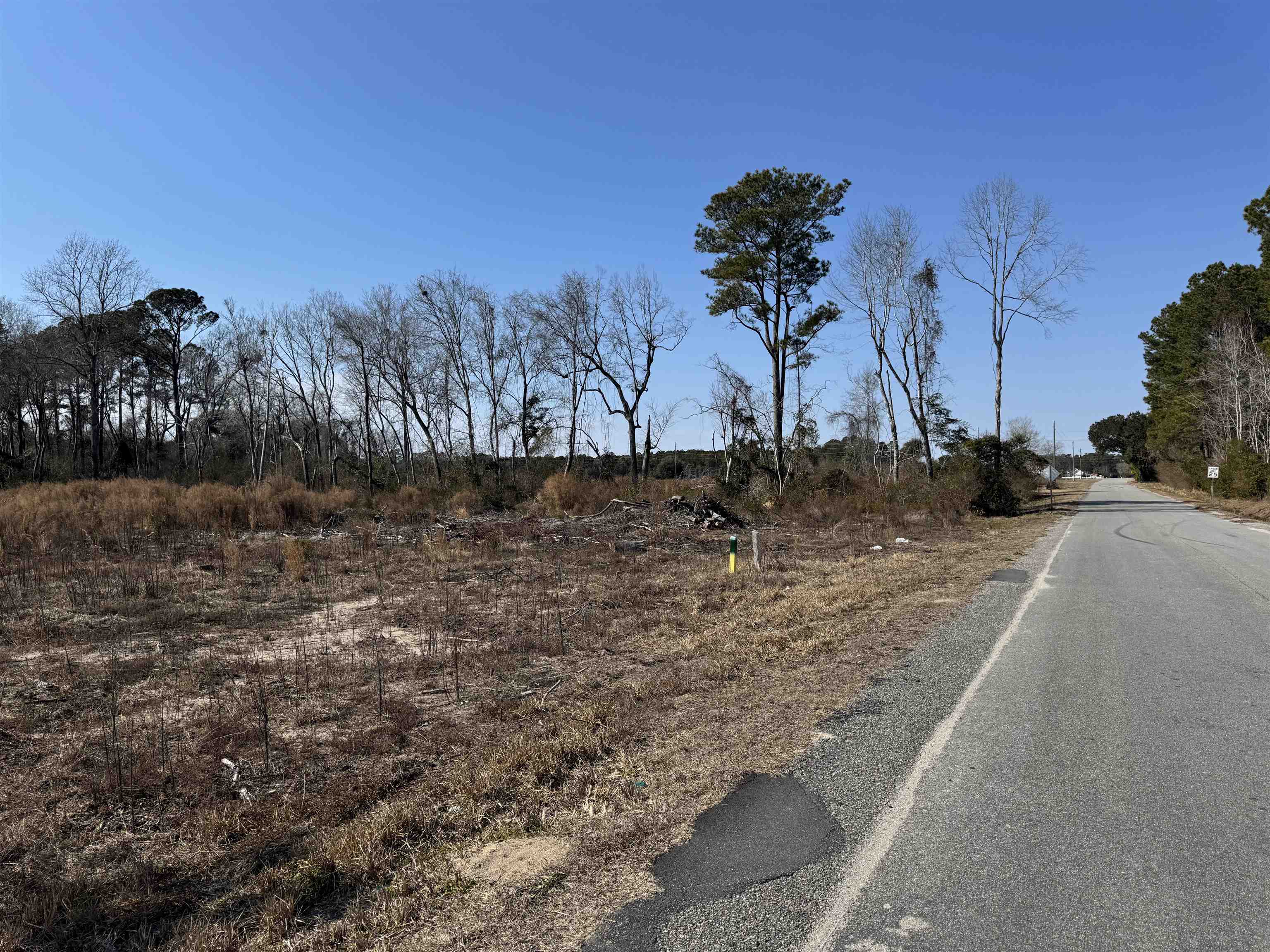 Three Curve Road Loris, SC 29569 - Photo 4 of 7