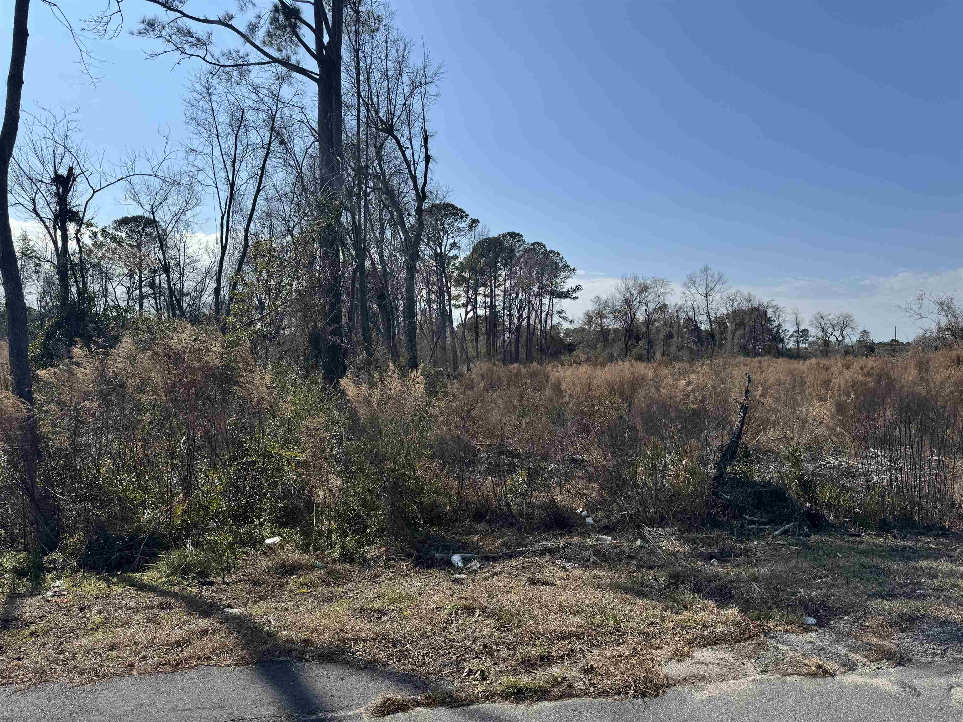 Three Curve Road Loris, SC 29569 - Photo 5 of 7