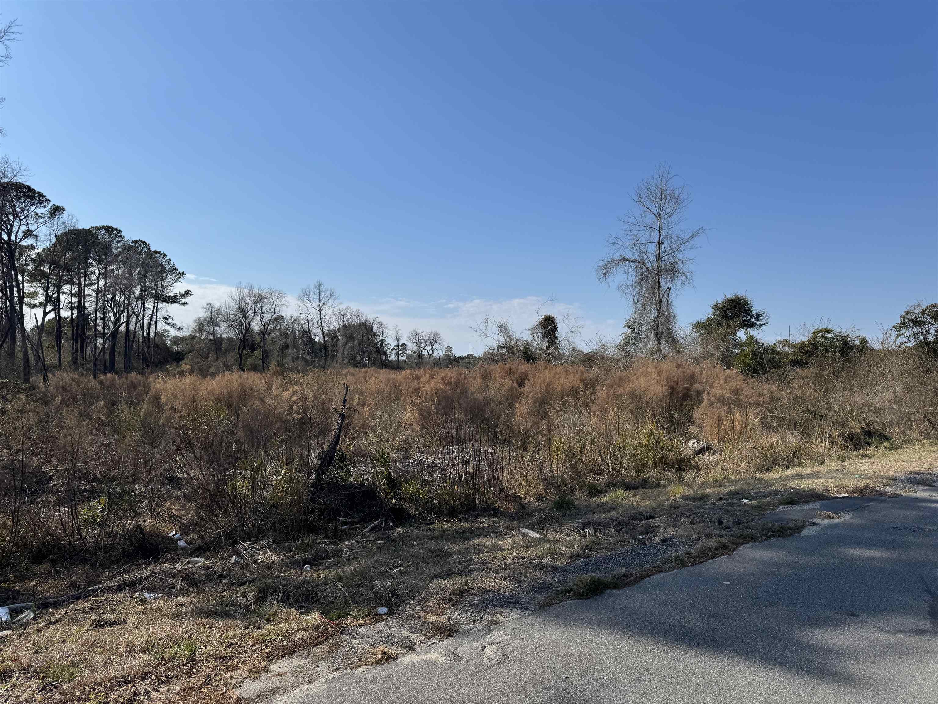 Three Curve Road Loris, SC 29569 - Photo 6 of 7