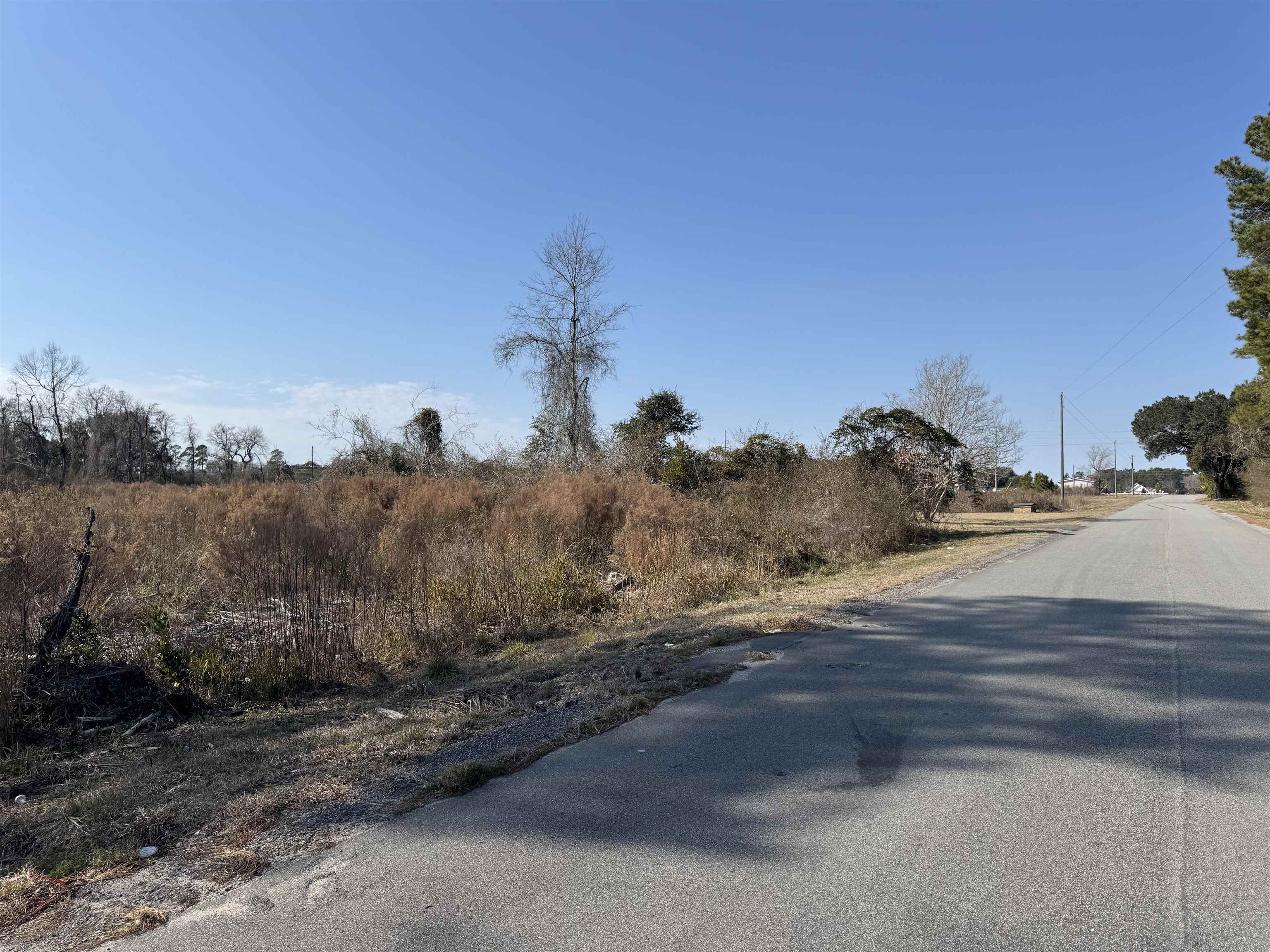 Three Curve Road Loris, SC 29569 - Photo 7 of 7