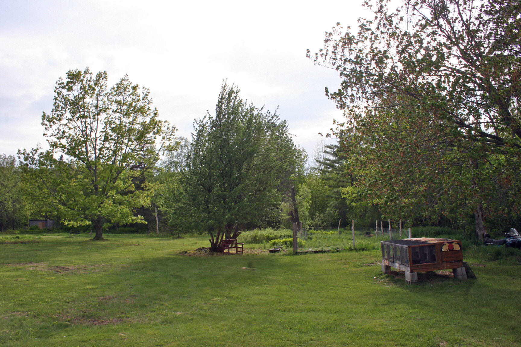 1311 Long Ridge Road Burlington, ME 04417 - Photo 36 of 62 IMG_0505_edited-1