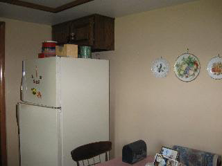 9951 Cemetery Road Erie, MI 48133 - Photo 10 of 17 Kitchen