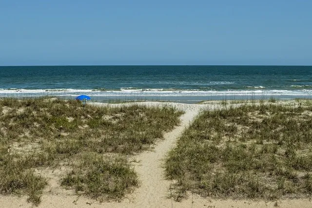 a sign that is sitting in front of a tree