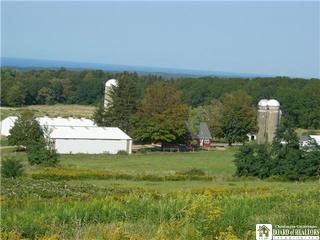 8380 Hardscrabble Road Westfield, NY 14787 - Photo 1 of 1 Gallery Image 1