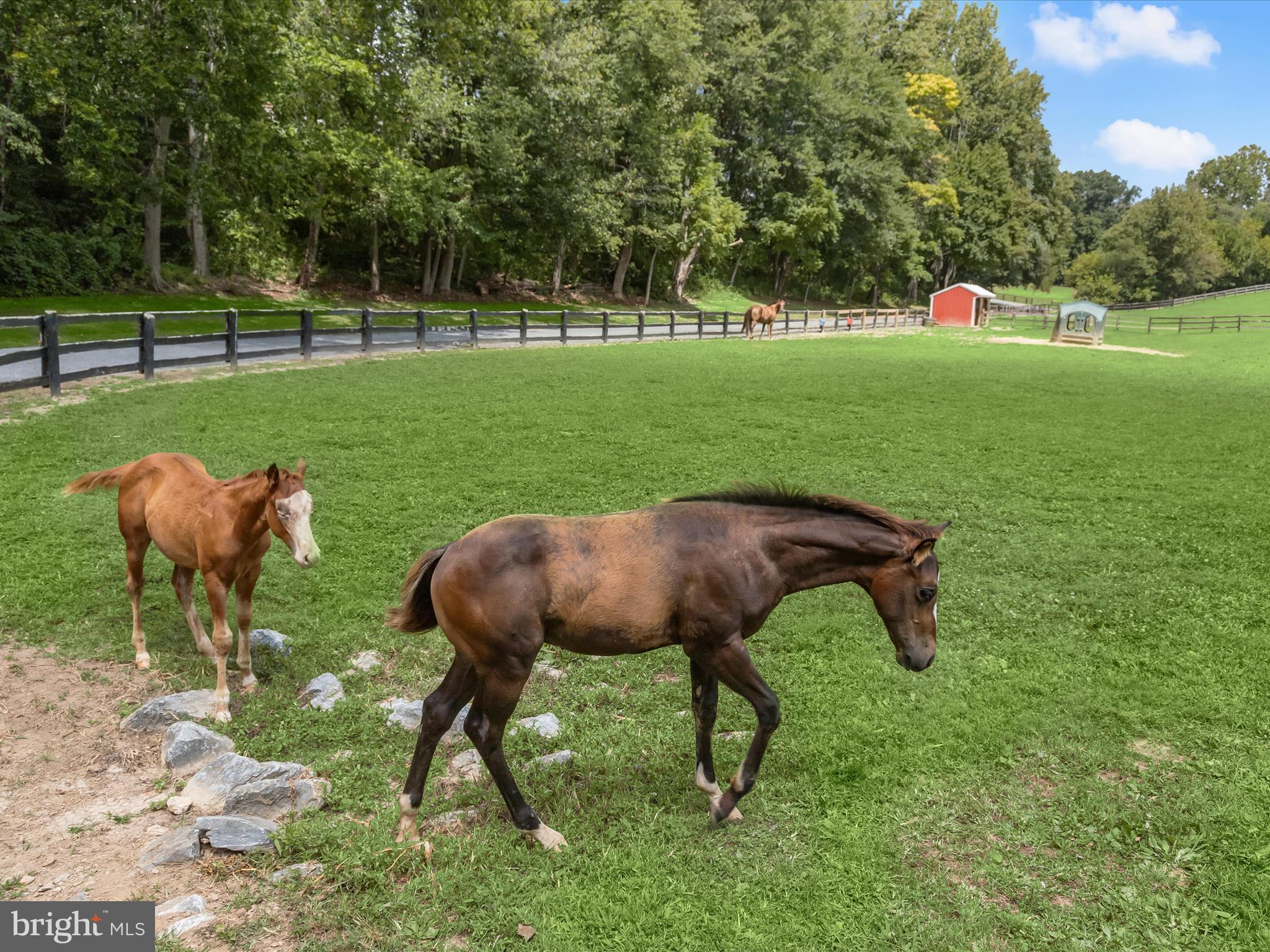 10901 Moxley Road Damascus, MD 20872 - Photo 115 of 148 Pasture