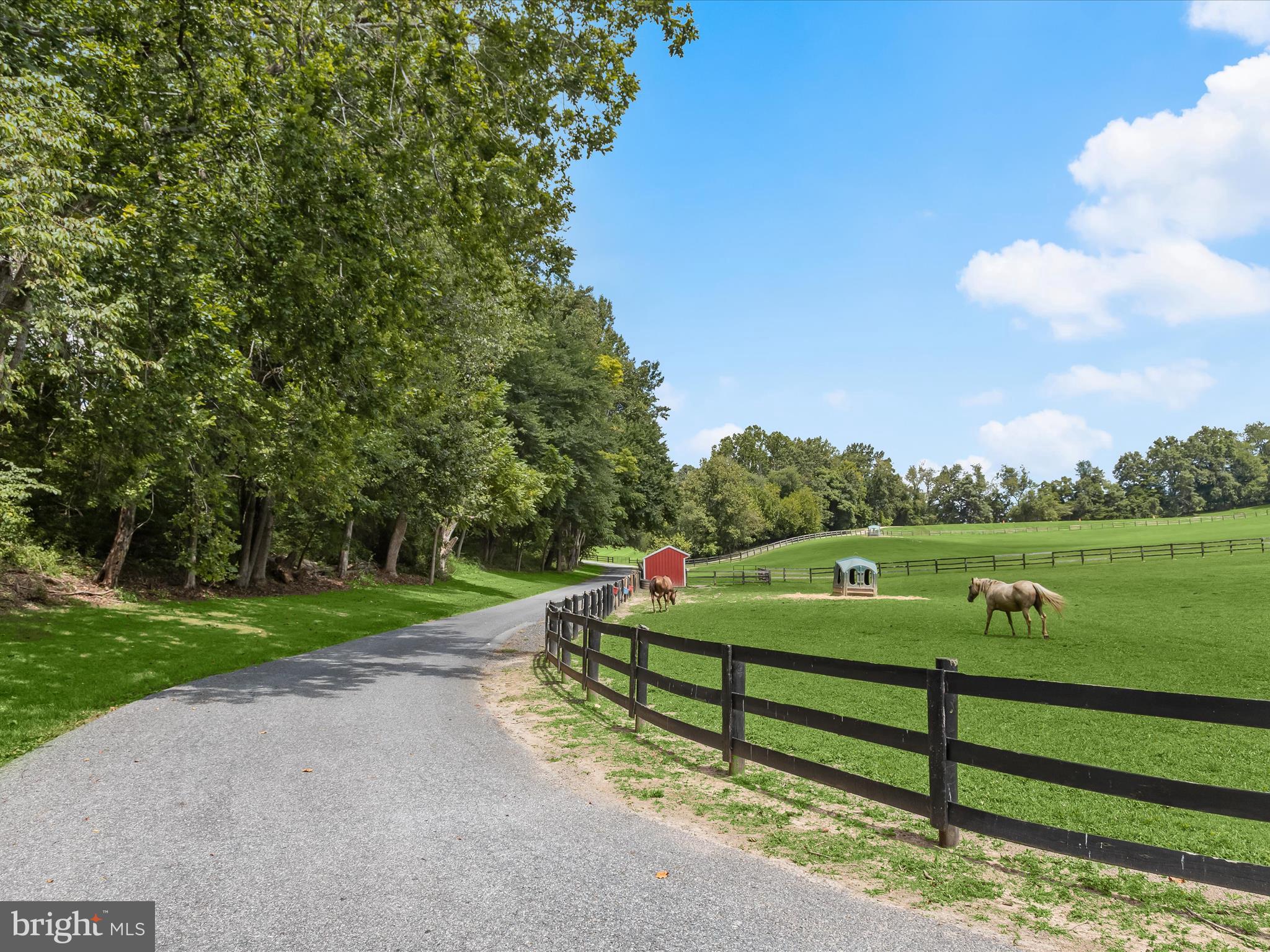 10901 Moxley Road Damascus, MD 20872 - Photo 116 of 148 a view of a park with large trees