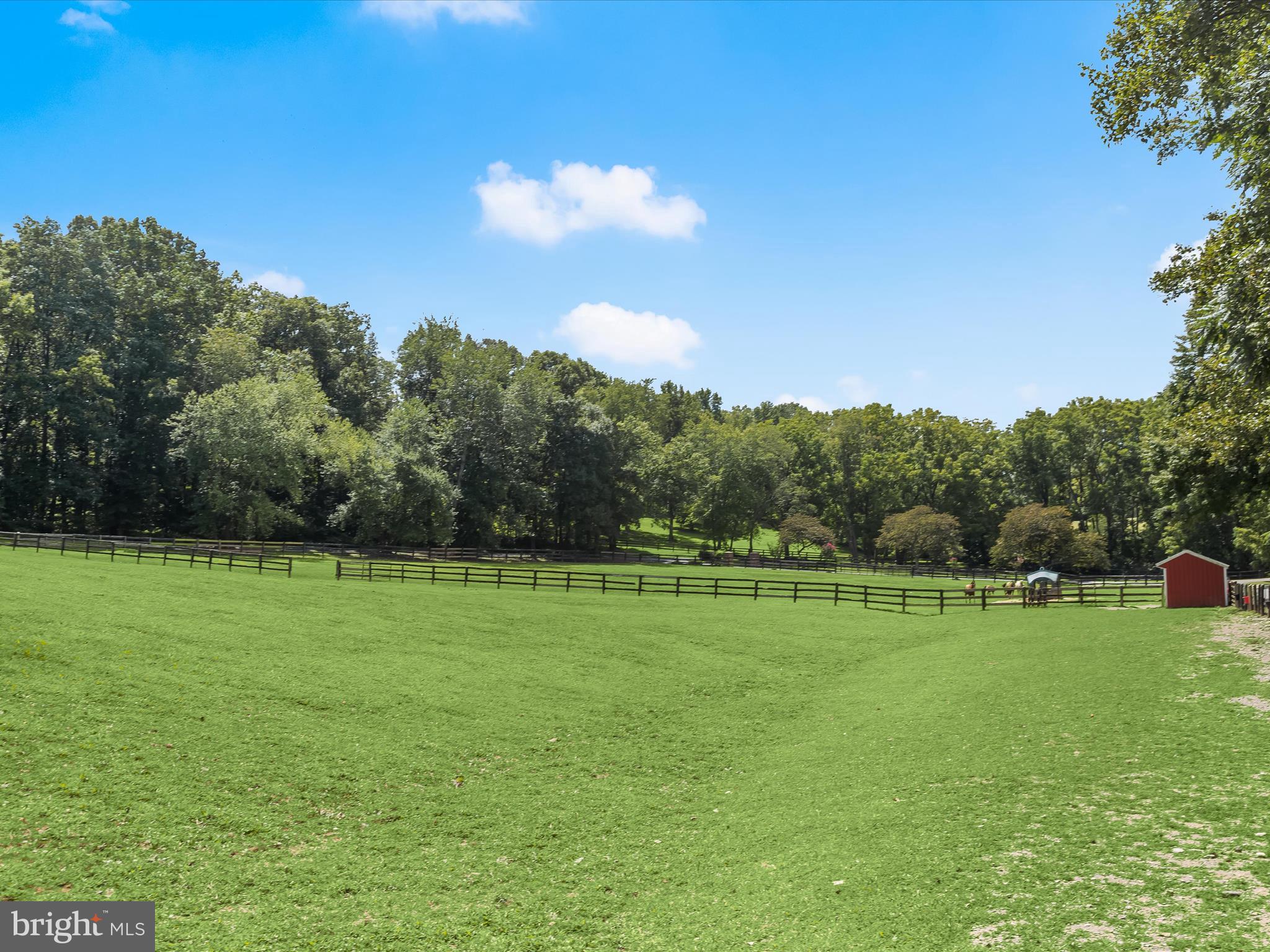 10901 Moxley Road Damascus, MD 20872 - Photo 117 of 148 Pasture
