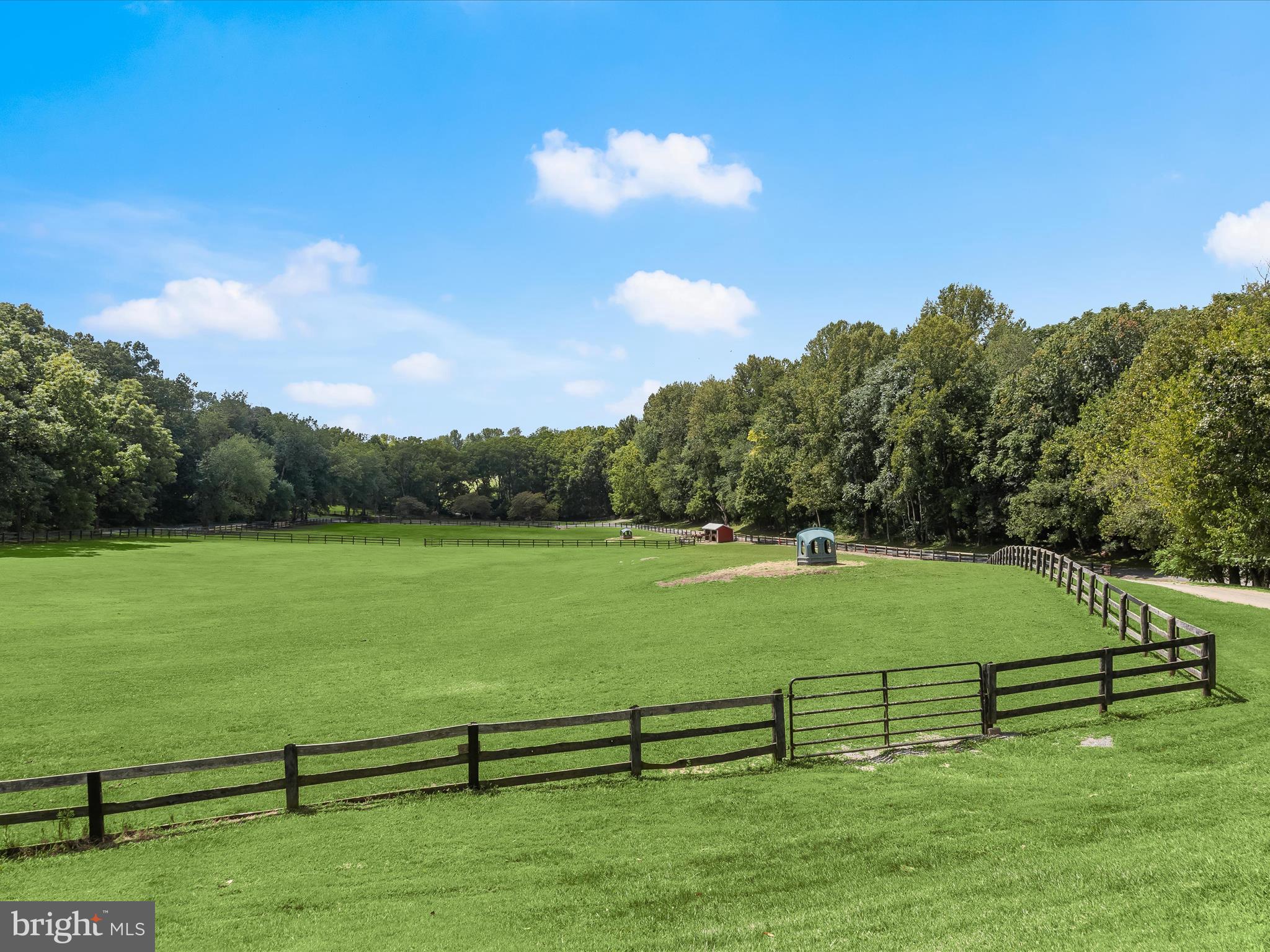 10901 Moxley Road Damascus, MD 20872 - Photo 120 of 148 a view of a green field with clear sky