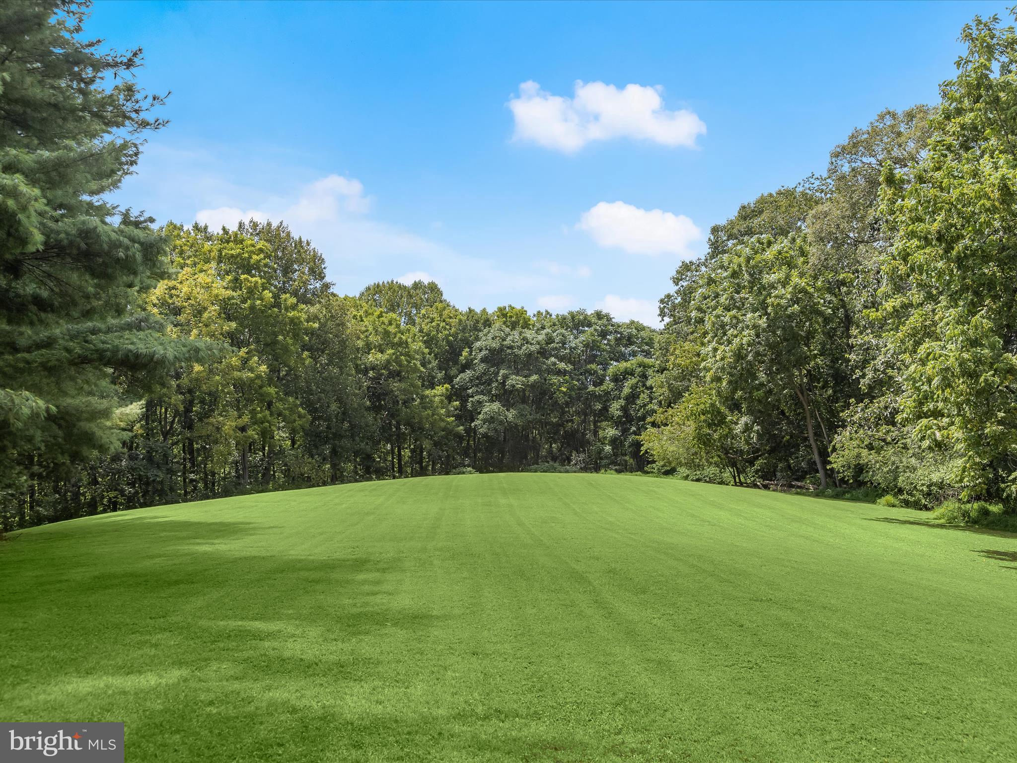 10901 Moxley Road Damascus, MD 20872 - Photo 123 of 148 Pasture