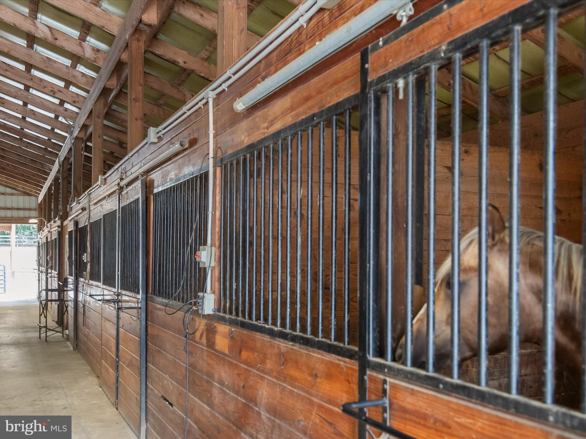10901 Moxley Road Damascus, MD 20872 - Photo 68 of 148 Main Barn