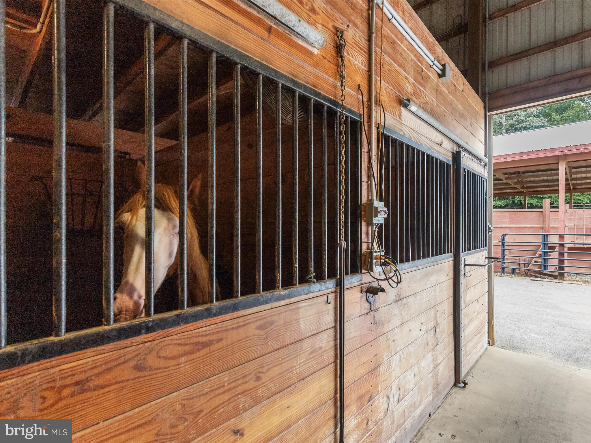 10901 Moxley Road Damascus, MD 20872 - Photo 69 of 148 Main Barn