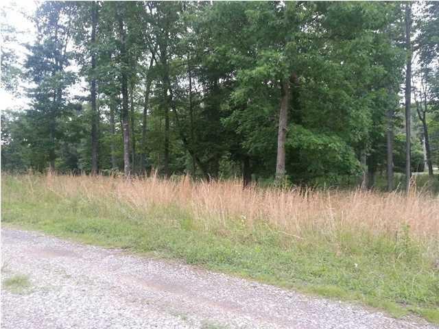 56 Henson Gap Road Dunlap, TN 37327 - Photo 1 of 7 Primary Photo
