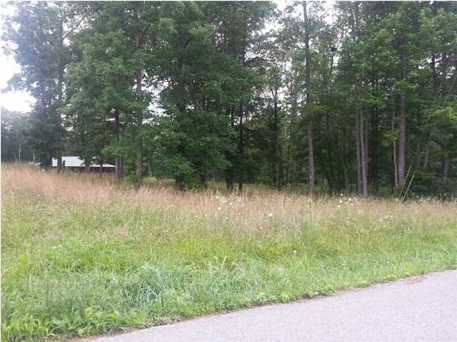 56 Henson Gap Road Dunlap, TN 37327 - Photo 3 of 7 Additional Photo
