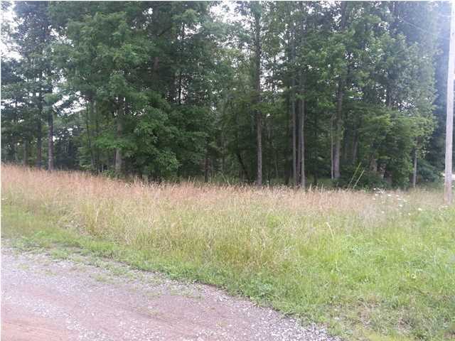 56 Henson Gap Road Dunlap, TN 37327 - Photo 4 of 7 Additional Photo