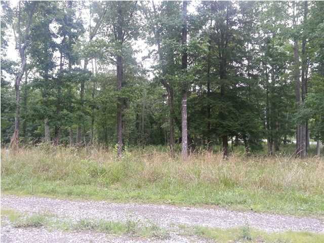 56 Henson Gap Road Dunlap, TN 37327 - Photo 5 of 7 Additional Photo