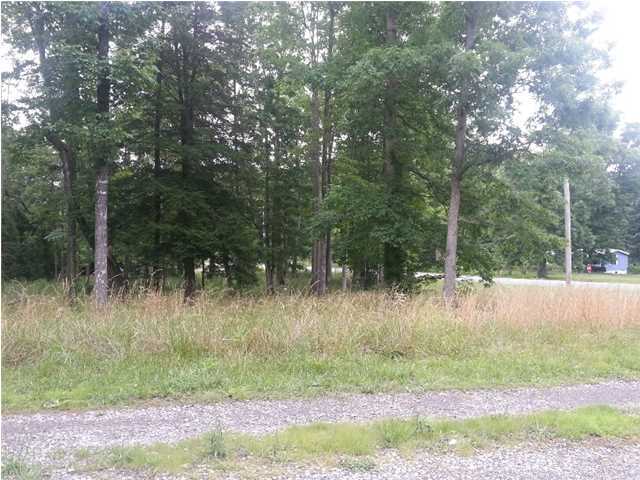 56 Henson Gap Road Dunlap, TN 37327 - Photo 6 of 7 Additional Photo