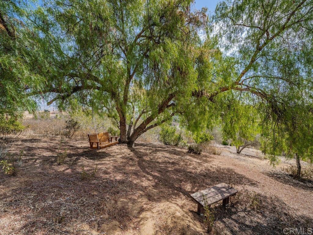 30568 Roadrunner Ridge Valley Center, CA 92082 - Photo 39 of 56 a view of dirt yard with a tree