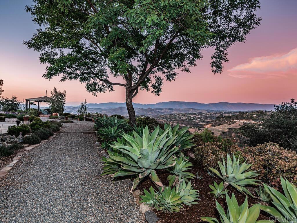 30568 Roadrunner Ridge Valley Center, CA 92082 - Photo 43 of 56 a view of a plant in a garden