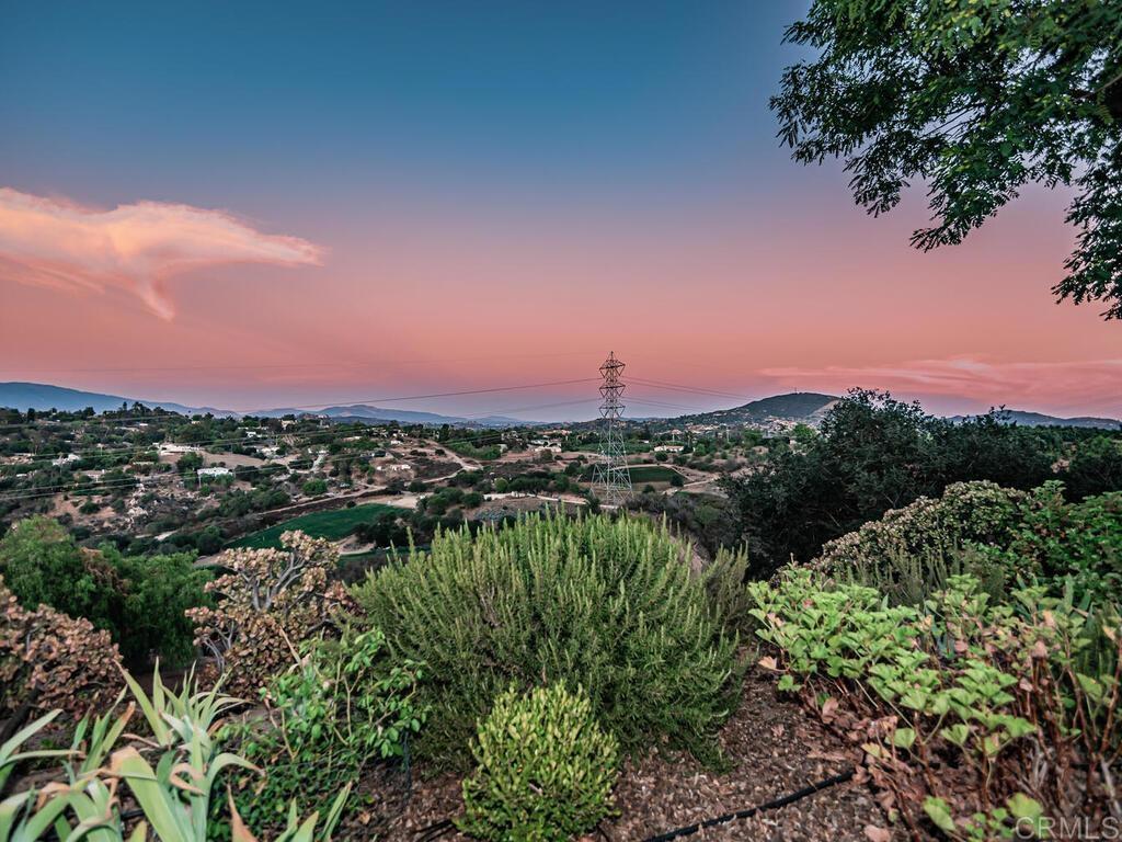 30568 Roadrunner Ridge Valley Center, CA 92082 - Photo 53 of 56 a view of a city with lush green forest