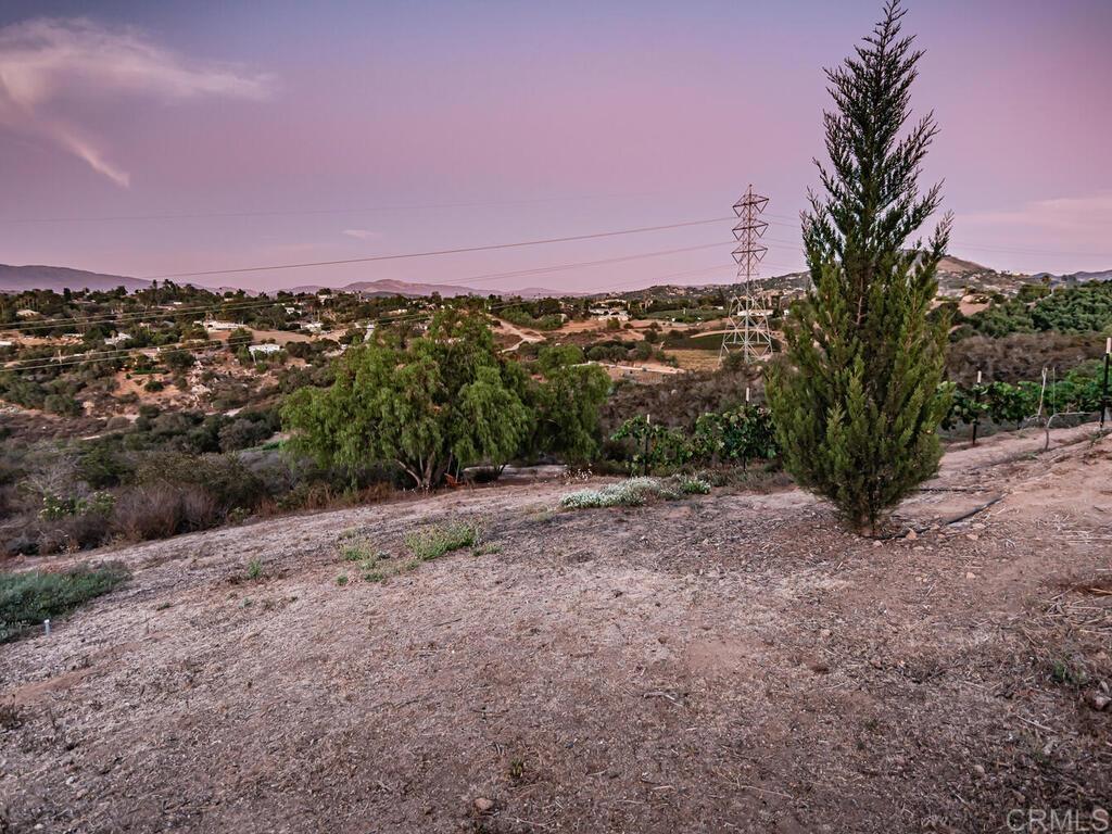 30568 Roadrunner Ridge Valley Center, CA 92082 - Photo 55 of 56 a view of a dry yard with mountains in the background
