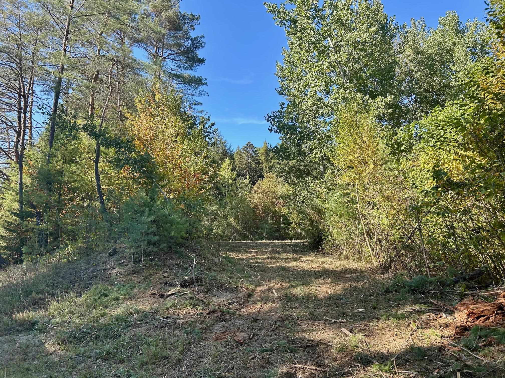 2453 Stock Farm Road Randolph, VT 05060 - Photo 5 of 15