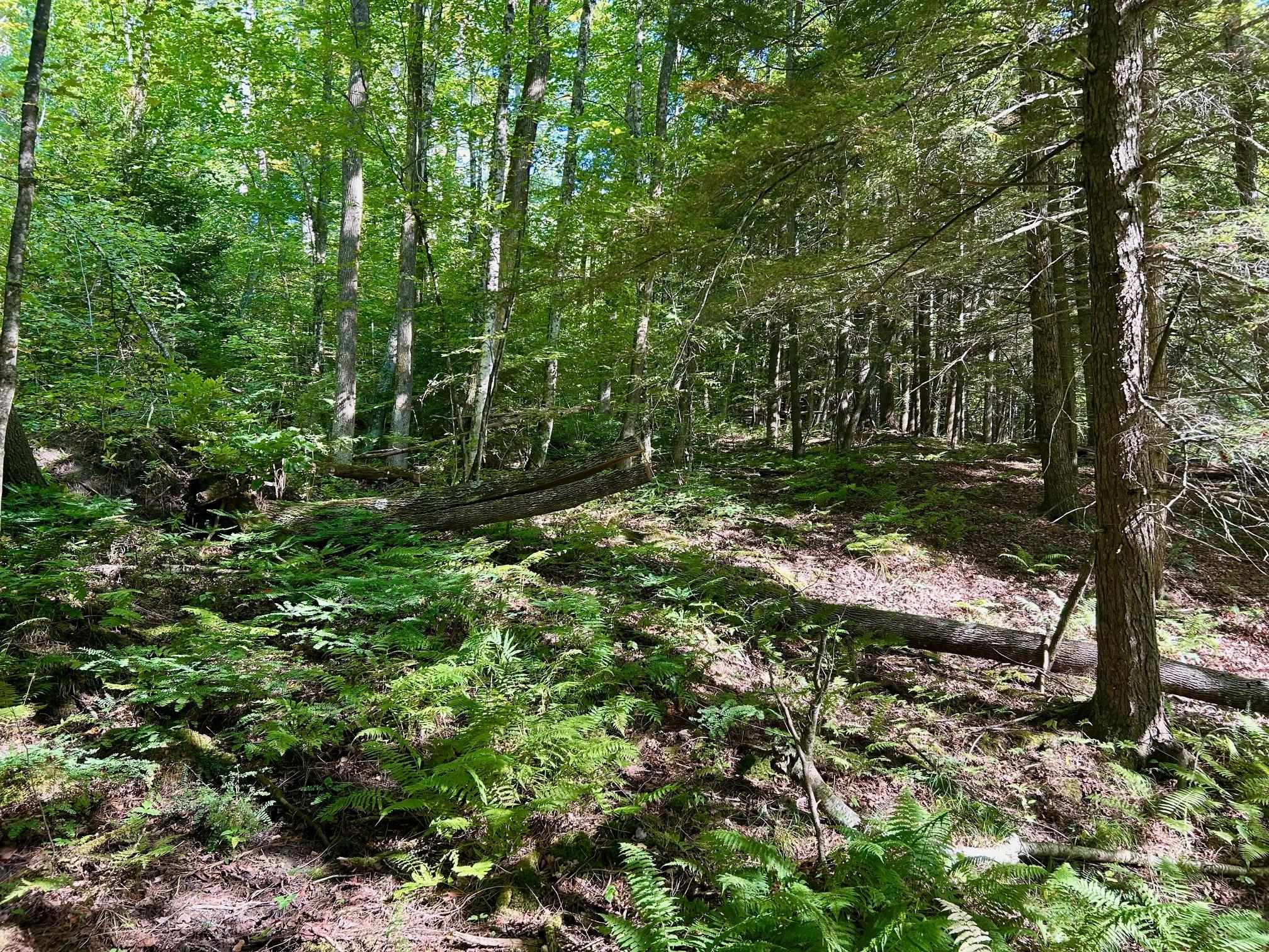 2453 Stock Farm Road Randolph, VT 05060 - Photo 8 of 15