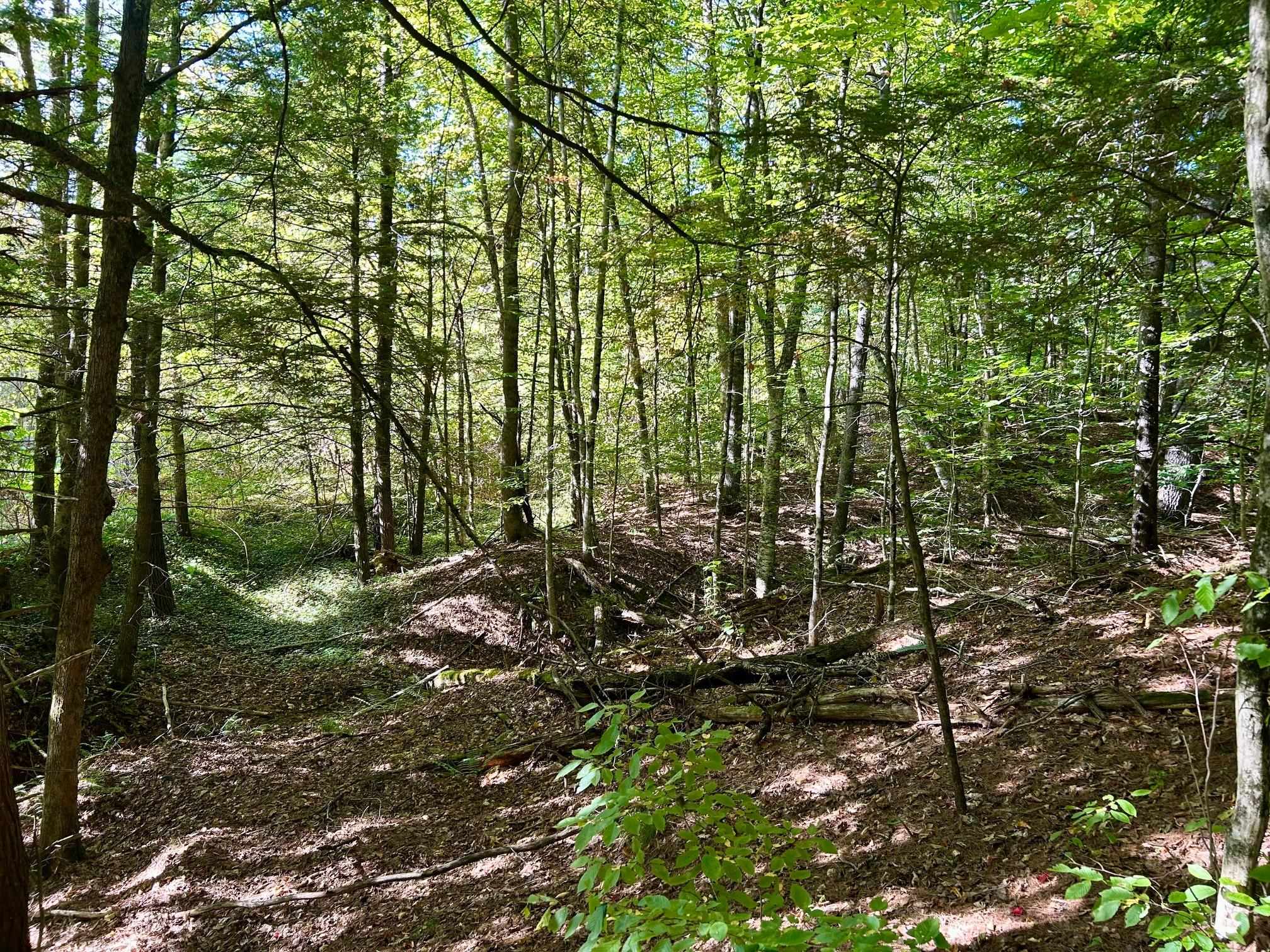 2453 Stock Farm Road Randolph, VT 05060 - Photo 10 of 15
