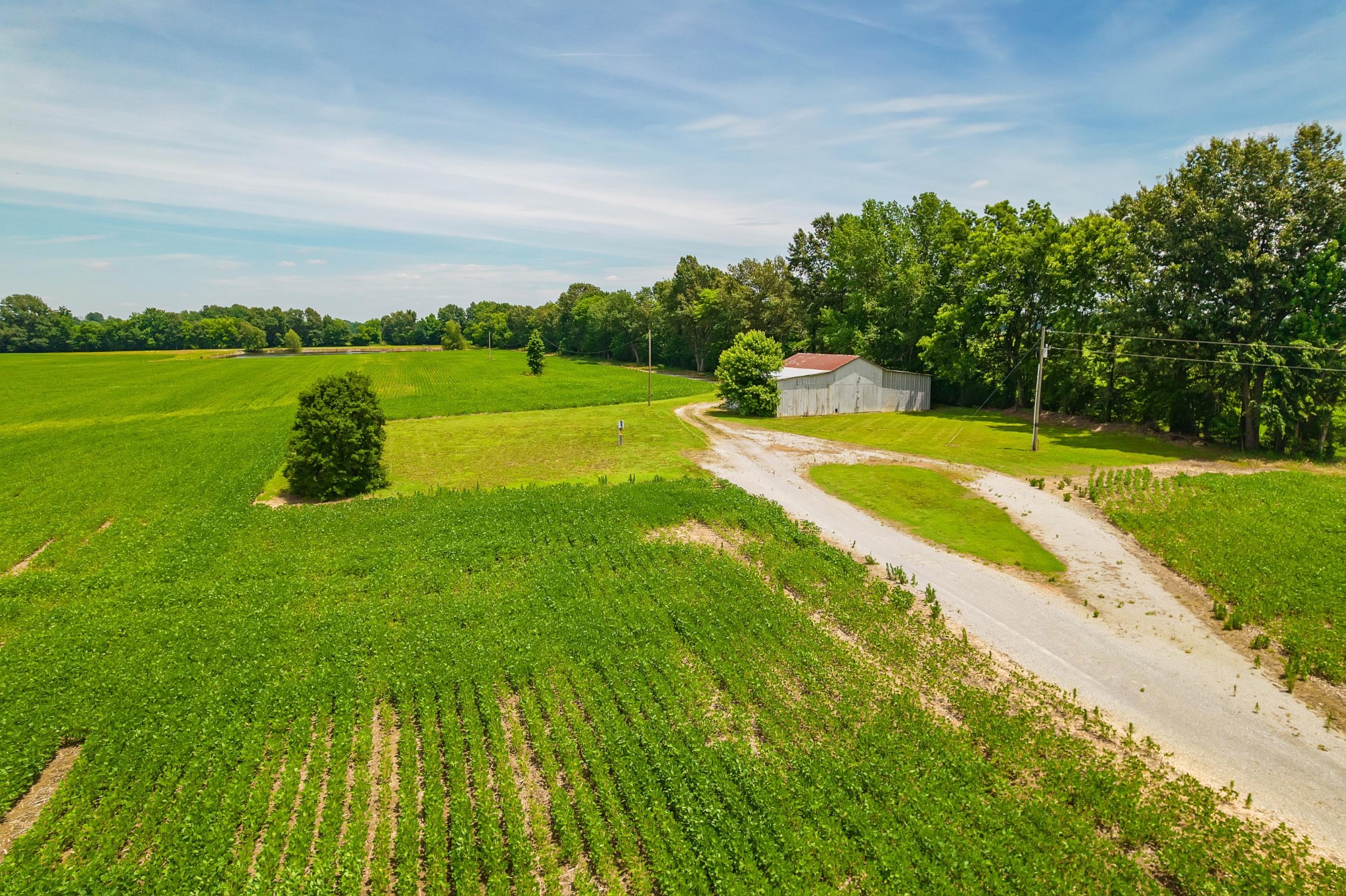 4996 Arch Thompson Road Union City, TN 38261 - Photo 2 of 13
