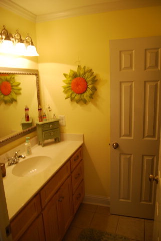 330 Eagle Ridge Road Macon, GA 31216 - Photo 30 of 41 a bathroom with a sink and a mirror