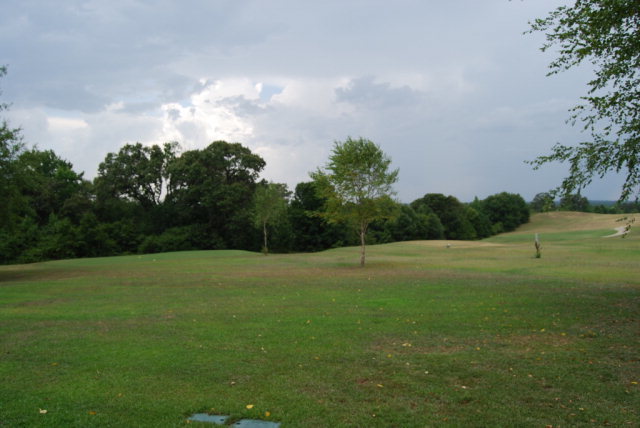330 Eagle Ridge Road Macon, GA 31216 - Photo 41 of 41 a view of field with tall trees