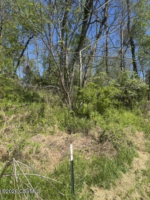 Front Street Danville, PA 17821 - Photo 30 of 30