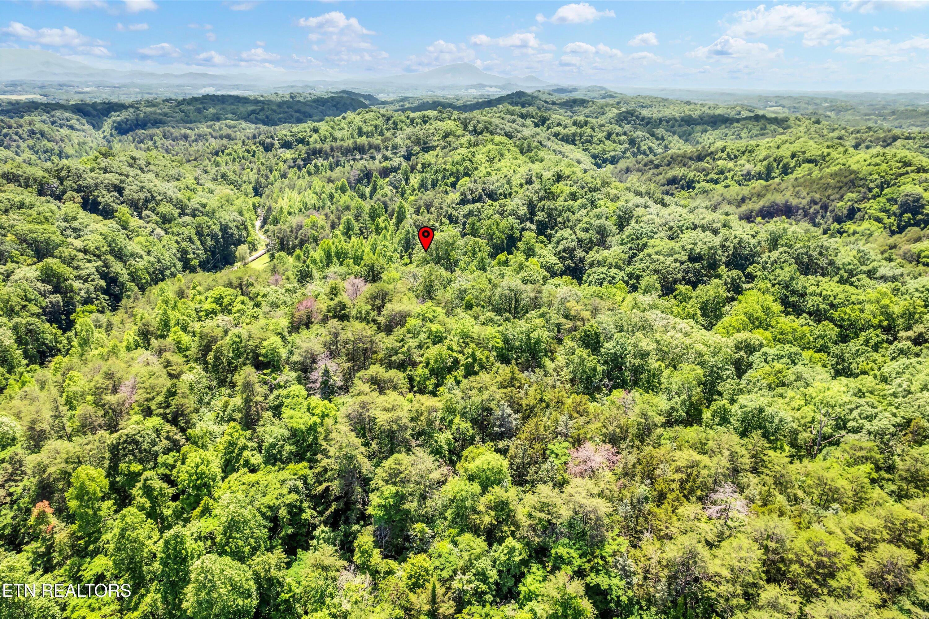 Amis Way Sevierville, TN 37876 - Photo 13 of 31 17-Amis Way Lot 5-17