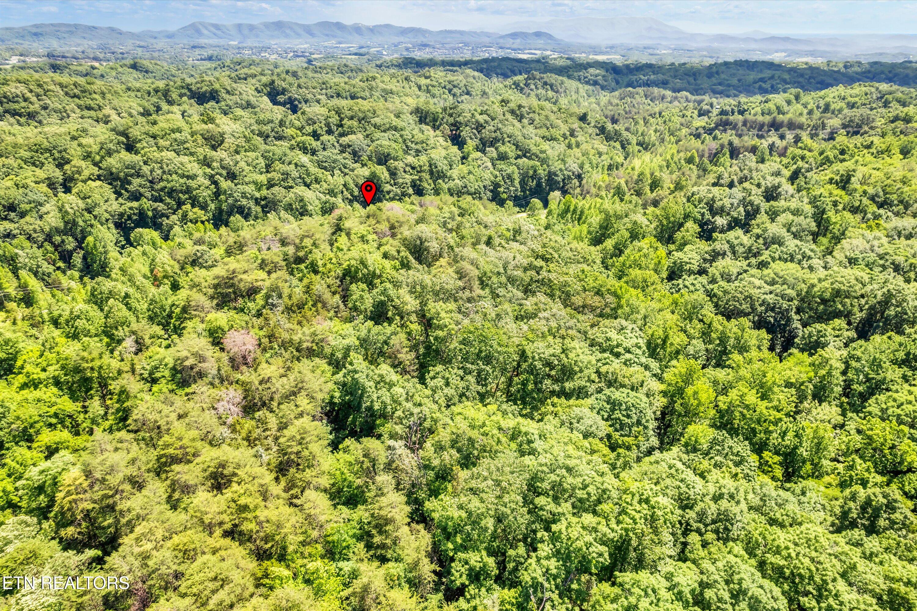 Amis Way Sevierville, TN 37876 - Photo 14 of 31 19-Amis Way Lot 5-19