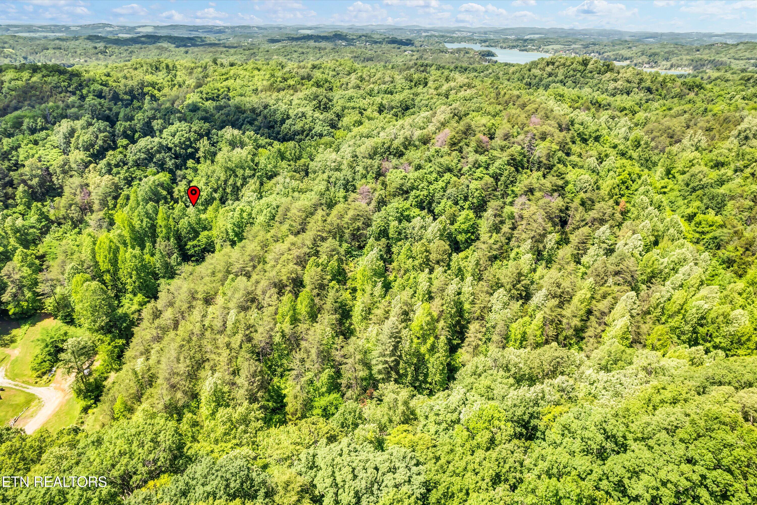 Amis Way Sevierville, TN 37876 - Photo 17 of 31 23-Amis Way Lot 5-23