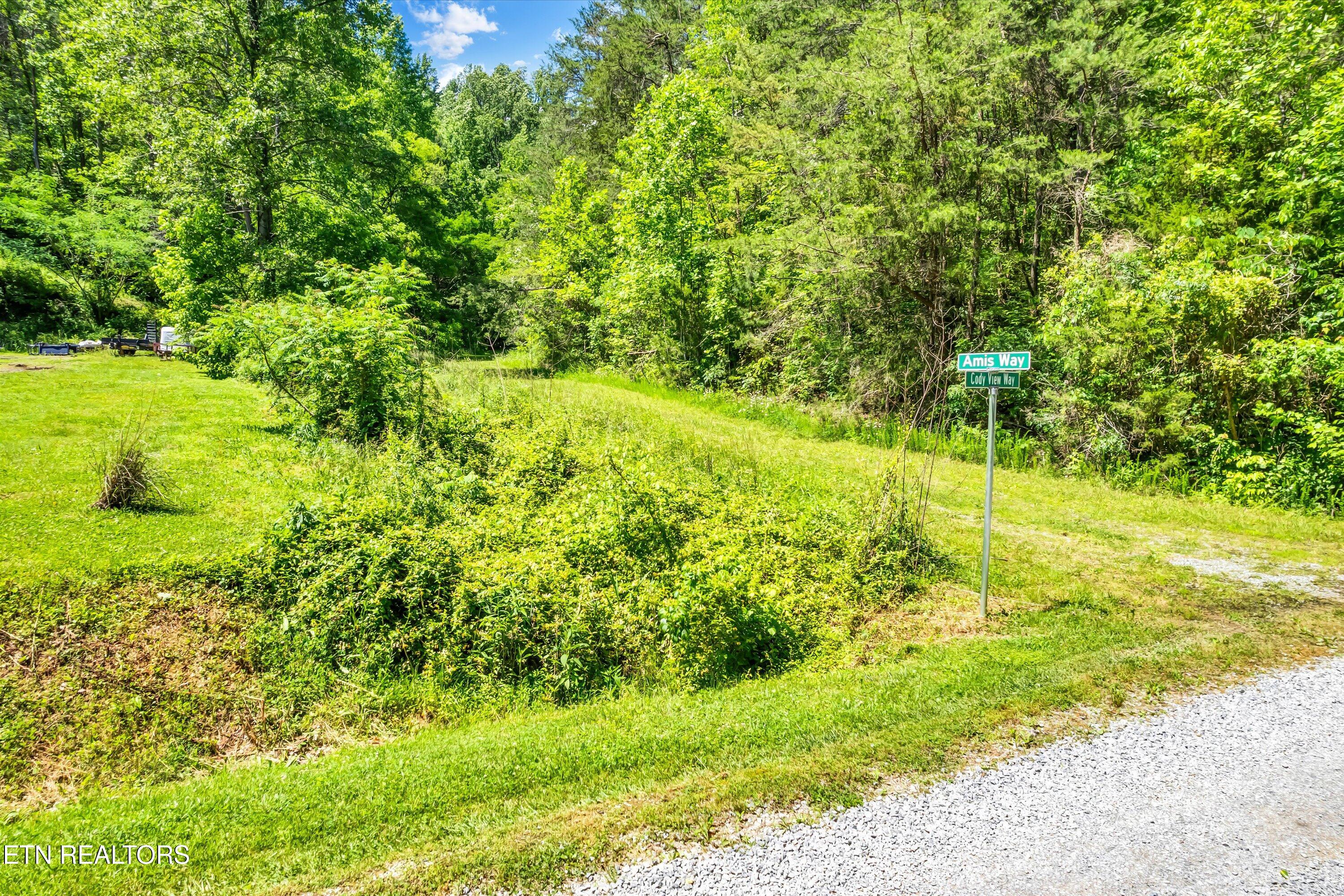 Amis Way Sevierville, TN 37876 - Photo 2 of 31 02-Amis Way Lot 5-2