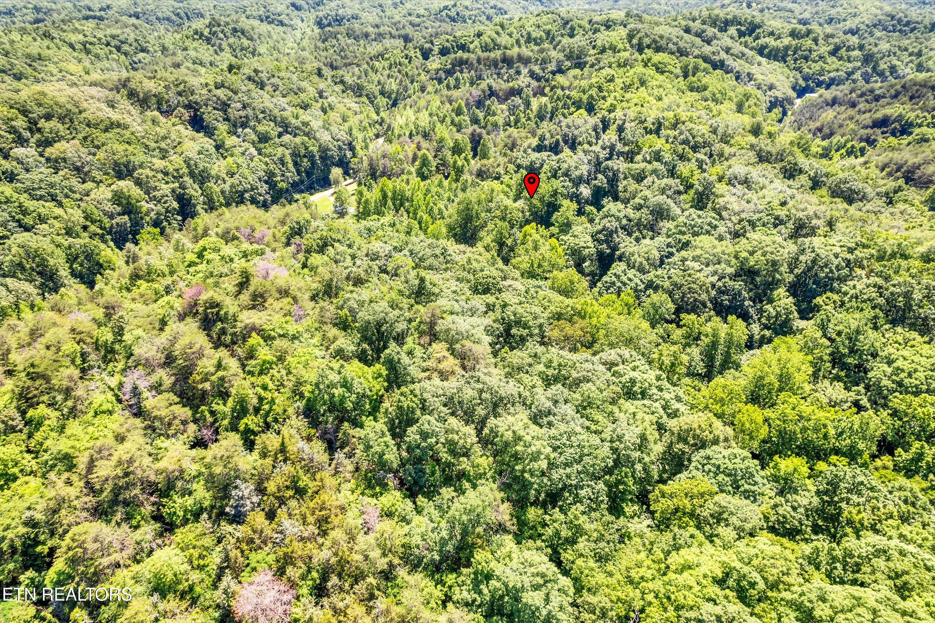 Amis Way Sevierville, TN 37876 - Photo 26 of 31 39-Amis Way Lot 5-39